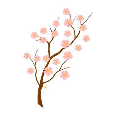 Vektör gerçekçi kiraz çiçeği dalı. Pembe sakura çiçek vektörüyle kiraz çiçeği