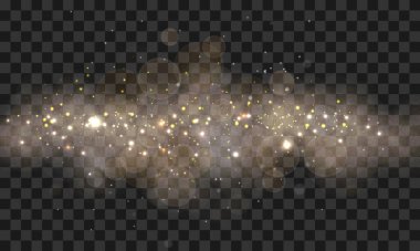 Şeffaf arkaplanda vektör efekti ışıkları bokeh