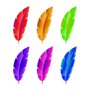 Düz çizimler ayarlanmış kuşların parlak tüyleri