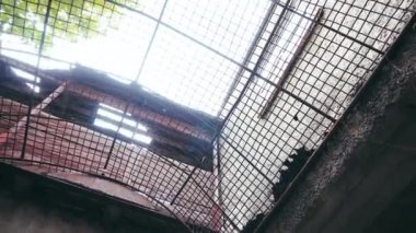 Avlu ve çevre güvenliği