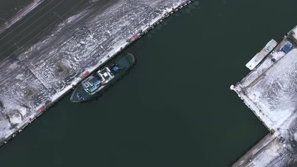 Πετούν Πάνω Από Towboat Ελλιμενισμένα Στο Λιμάνι Ταλίν Εναέρια — Αρχείο Βίντεο