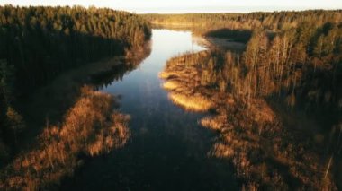 Nehrin çam ağaçlarından şehir Helsinki Finlandiya dolu ormanın ortasında havadan görünümü