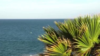Benalmaden İspanya mavi deniz görünümü manzaralı deniz ufuk ve sallanan palmiye yaprakları