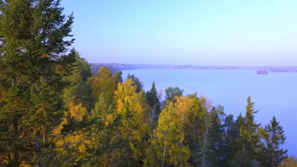 Flygutsikt Över Sjön Från Skogen Höstsäsongen Finland — Stockvideo