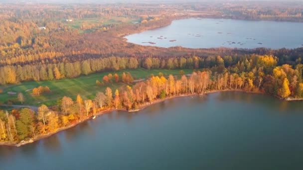 Luchtfoto Van Geel Gekleurde Bomen Het Meer Finland Tijdens Het — Stockvideo
