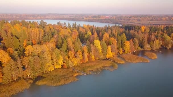 Finlandiya Sonbahar Manzarası Göl Kenarından Havadan — Stok video