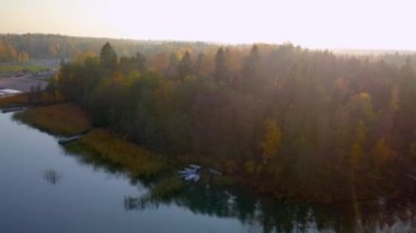 Finlandiya'da uzun çam ağaçlarının havadan görünümü