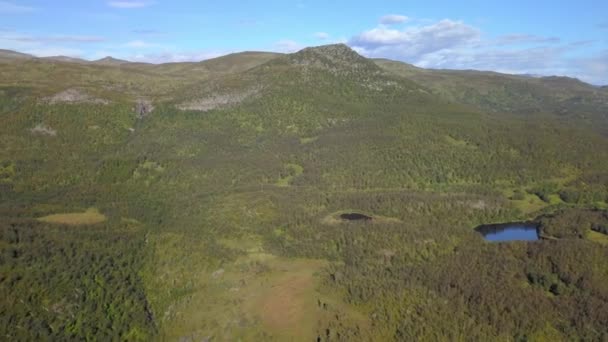 Las plantas verdes y los árboles en las moutains en Noruega — Vídeo de stock