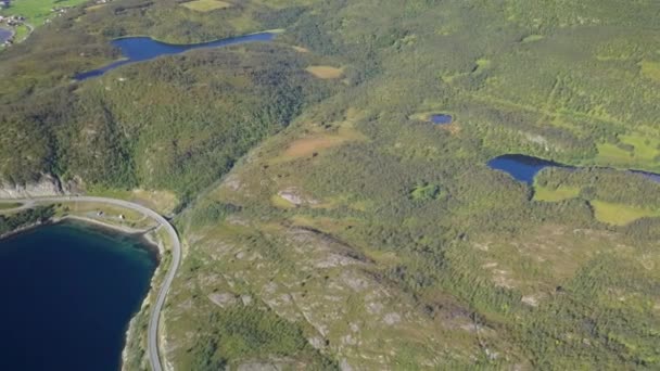 La ladera de la montaña de Noruega con las plantas verdes en ella — Vídeo de stock