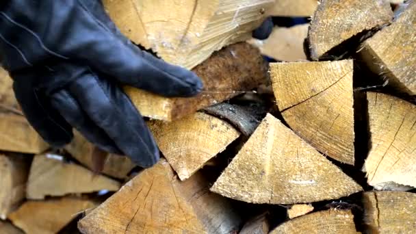 Le bord du bois de chauffage sur la salle de stockage — Video