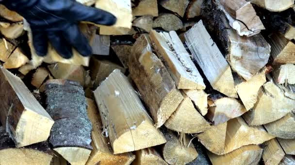 Beaucoup de bois de chauffage haché sur la zone de stockage — Video