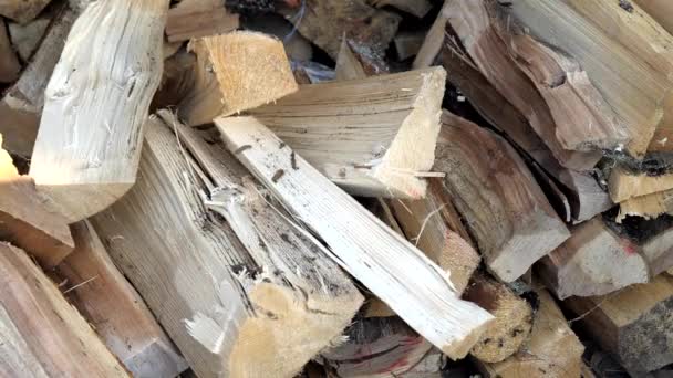 Den närmare utseendet på den hackade firewoods på lagring — Stockvideo