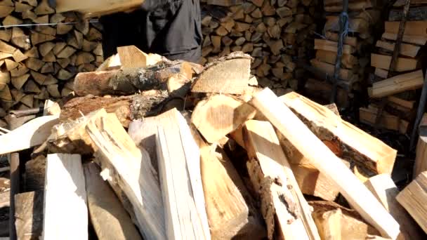 Högen av den hackade firewoods på lager rummet — Stockvideo