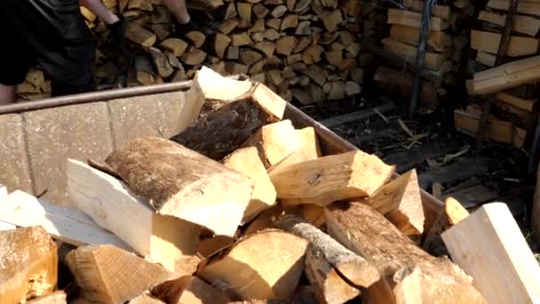 Бросание рубленных дров на куче — стоковое видео