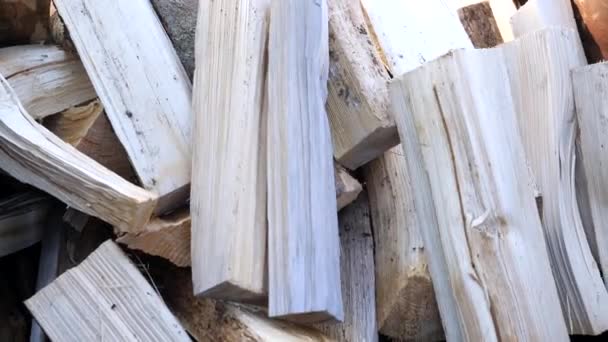 Närmare titt på den hackade firewoods på högen — Stockvideo