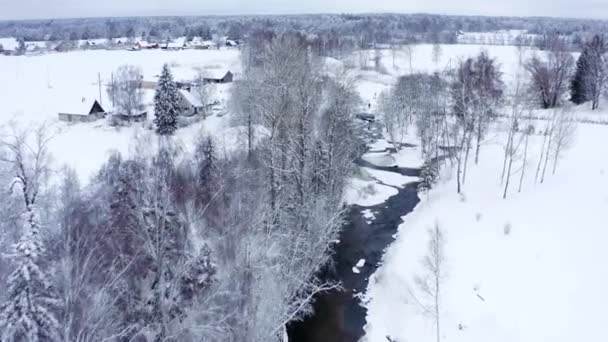 Вид з повітря на будинки і дерева, вкриті снігом — стокове відео