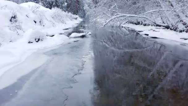 The snowy side of the river in Estonia on a winter — Stock Video