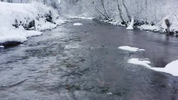 L'acqua che scorre sul fiume in Estonia — Video Stock