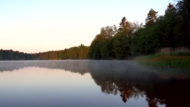 Finlandiya 'daki göl suyunun manzarası