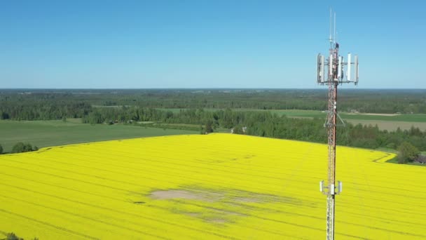 Het landschap uitzicht op de vlaktes in Estland — Stockvideo