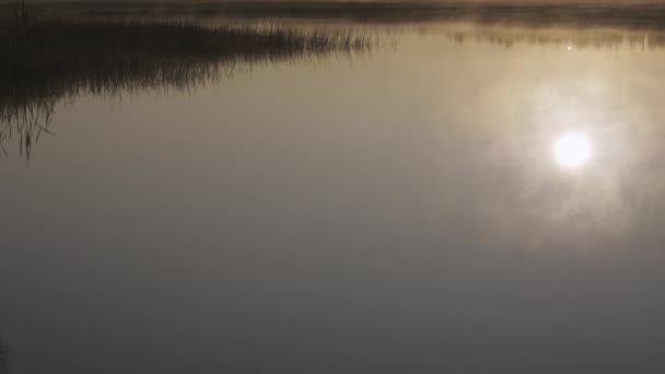 Finlandiya 'da gün batımında göldeki sis. Kopyalama alanı. — Stok video