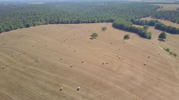 Αεροφωτογραφία του αγροτικού χώρου στην Ιταλία — Αρχείο Βίντεο