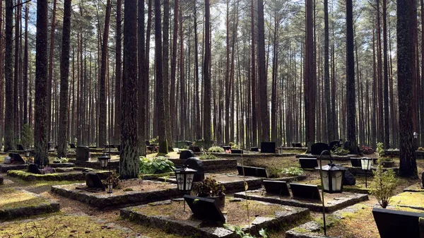 Estonya 'nın Tallinn kentindeki sakin Metsakalmistu mezarlığındaki uzun çam ağaçlarının arasından süzülen güneş ışığı sonbaharda sakin bir atmosfer yaratır.