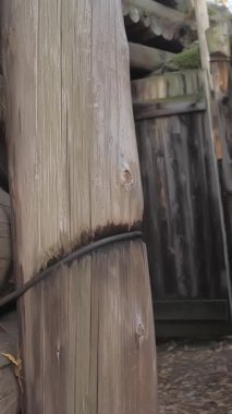 Lappeenranta. Finlandiya-28 Eylül 2020: Ormanın altındaki sığınak. Sığınak hattı. Dikey çekim.