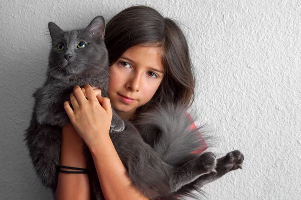 A seemingly shy, youn, brunette girl holds a fluffy grey cat close to her face.  She is looking at the camera but holding him in front of her.  He is looking up and off to the side as if he is begging.  She has ponytail holders around her wrist.  The