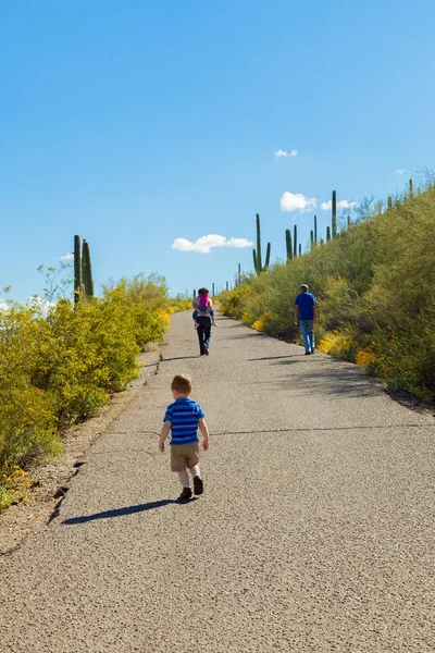 Trois Générations Grand Père Père Deux Enfants Montent Sentier Pavé — Photo