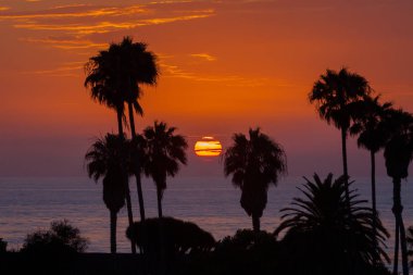 Günbatımı Lajolla Beach, Kaliforniya üzerinde palmiye ağaçları ile. Güneş mavi, mor ve turuncu bulutlar dilim arkasında top yuvarlak bir dolu. Güneşin bulutların renklerin yansıması ile okyanusun altındadır.