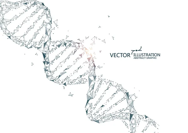 Dna Gráficos Abstratos Coisas Pontos Linhas Fundo Vetorial — Vetor de Stock