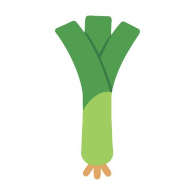 Pırasanın düz vektör çizimi, sağlıklı beslenme, organik tarım ve tarif tasarımı için harika..