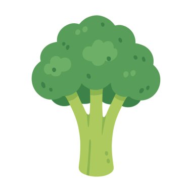 Kalın yeşil renkli taze brokoli sapı çizimi. Sağlıklı gıda içeriği, tarif grafikleri, market promosyonu, eğitimsel görseller, ambalaj ve dekor için harika.