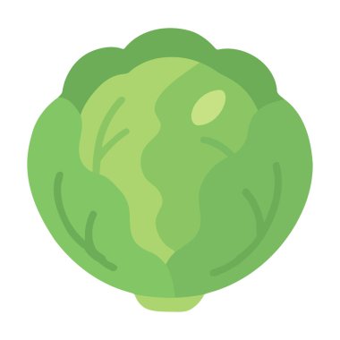 Yapraklı yeşil lahana çizimi düz vektör tarzında. Sağlıklı gıda kavramları, yemek tarifi kitapları, bahçıvanlık içeriği, beslenme eğitimi, market pazarlama ve ambalaj için mükemmel..