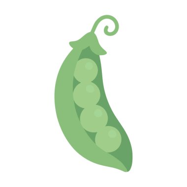 Düz vektör tarzında kabuklu taze bezelyeler. Beslenme temaları, tarif grafikleri, market reklamları, sağlıklı beslenme kampanyaları, ambalajlama ve organik gıda promosyonu için ideal.