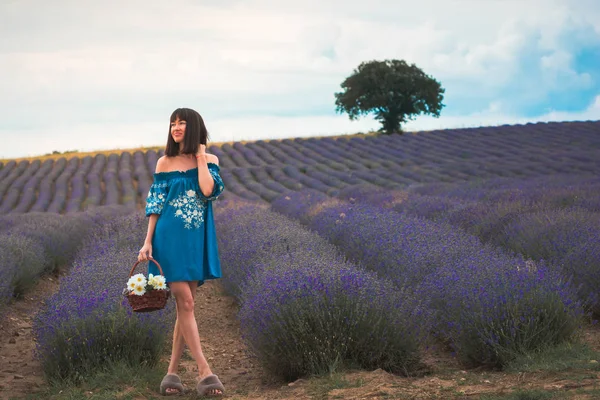 Young beautiful attractive woman in the blooming lavender fields near Plovdiv in Bulgaria. Blooming lavender flowers in Bulgaria.