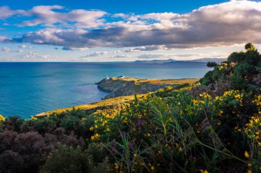 Kafasına Howth, Dublin county, İrlanda Baily deniz feneri güzel sahne