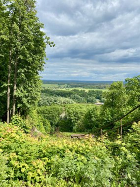 Güzel yaz doğası. Muhteşem yeşil orman! Göz kamaştırıcı manzara! Parkta bir yürüyüş.!