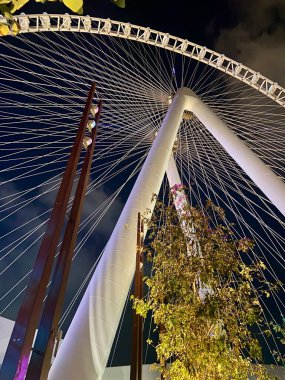 The world's largest Ferris wheel! Travel to Dubai! Dubai Marina!