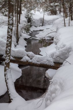 Erken Bahar karla kaplı ormanda akışında