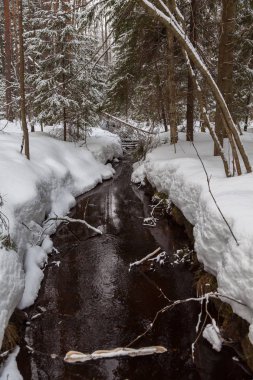 Erken Bahar karla kaplı ormanda akışında