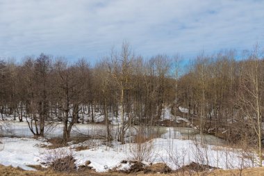 Kış ve kar parklarda erken ilkbaharda çözülme sonra doğanın uyanış.