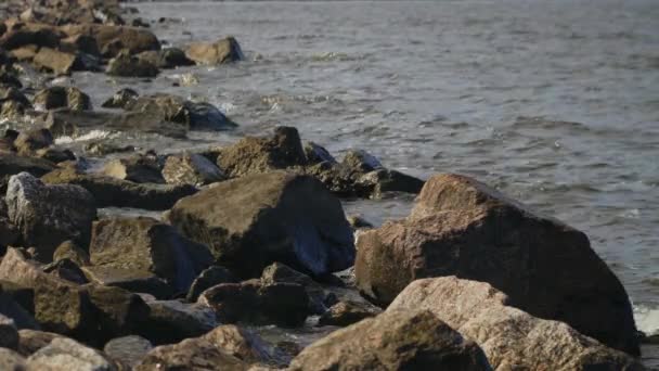 Na barragem do Golfo da Finlândia em pedras de granito ondas salpicantes . — Vídeo de Stock