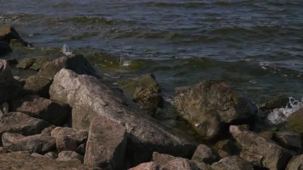 Na barragem do Golfo da Finlândia em pedras de granito ondas salpicantes . — Vídeo de Stock