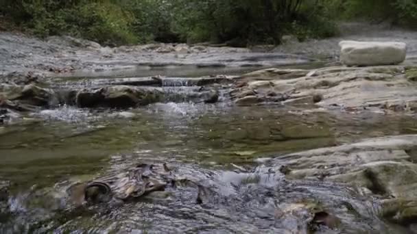 Afrodites bägare är ett naturligt landmärke i fjällskogen. — Stockvideo