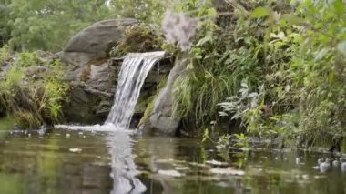 Dağ ormanında pitoresk bir dere.