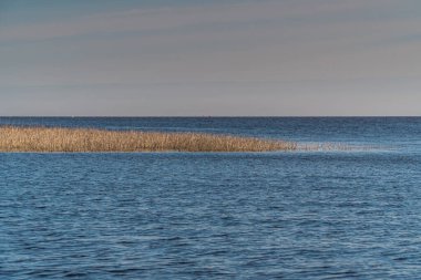 - Rusya. Leningrad bölgesi. Ladoga Gölü 'ne açılan priz, baharın şafağında Volkhov nehri..