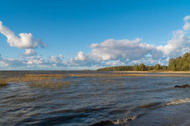- Rusya. Leningrad bölgesi. Lomonosov bölgesi. Cape Grey atı ve Cape 'in yanındaki körfez manzaralı..