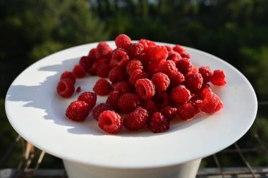 Beyaz bir tabakta yeni toplanmış ahududu resmi. Görüntü, böğürtlenlerin doğal ışıktaki canlılığını ve tazeliğini yakalar..
